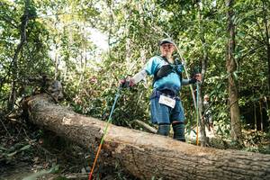 BIB: 
                            <button type="button" onclick="openModal(27488185)" class="btn btn-primary btn-sm float-right btn-popup" data-toggle="modal" data-target=".modal-high-quality">
                        <i class="fas fa-shopping-cart"></i> Add to Cart
                    </button>
                                            <button type="button" onclick="isThisMe(27488185, true)" class="btn btn-success btn-sm float-right btn-popup btn-isme hidden" data-toggle="tooltip" data-placement="bottom" title="นี่คือรูปของคุณใช่ไหม คลิกที่นี่เพื่อเอาเข้าอัลบั้ม">
                        <i class="fas fa-plus"></i> Add to album
                    </button>
                    <button type="button" onclick="isThisMe(27488185, false)" class="btn btn-warning btn-sm float-right btn-popup btn-isnotme hidden">
                        <i class="fas fa-ban"></i> Remove from album
                    </button>