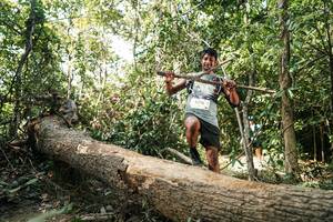 BIB: 
                            <button type="button" onclick="openModal(27488324)" class="btn btn-primary btn-sm float-right btn-popup" data-toggle="modal" data-target=".modal-high-quality">
                        <i class="fas fa-shopping-cart"></i> Add to Cart
                    </button>
                                            <button type="button" onclick="isThisMe(27488324, true)" class="btn btn-success btn-sm float-right btn-popup btn-isme hidden" data-toggle="tooltip" data-placement="bottom" title="นี่คือรูปของคุณใช่ไหม คลิกที่นี่เพื่อเอาเข้าอัลบั้ม">
                        <i class="fas fa-plus"></i> Add to album
                    </button>
                    <button type="button" onclick="isThisMe(27488324, false)" class="btn btn-warning btn-sm float-right btn-popup btn-isnotme hidden">
                        <i class="fas fa-ban"></i> Remove from album
                    </button>