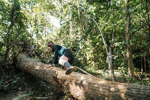 BIB: 
                            <button type="button" onclick="openModal(27486862)" class="btn btn-primary btn-sm float-right btn-popup" data-toggle="modal" data-target=".modal-high-quality">
                        <i class="fas fa-shopping-cart"></i> Add to Cart
                    </button>
                                            <button type="button" onclick="isThisMe(27486862, true)" class="btn btn-success btn-sm float-right btn-popup btn-isme hidden" data-toggle="tooltip" data-placement="bottom" title="นี่คือรูปของคุณใช่ไหม คลิกที่นี่เพื่อเอาเข้าอัลบั้ม">
                        <i class="fas fa-plus"></i> Add to album
                    </button>
                    <button type="button" onclick="isThisMe(27486862, false)" class="btn btn-warning btn-sm float-right btn-popup btn-isnotme hidden">
                        <i class="fas fa-ban"></i> Remove from album
                    </button>