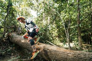 BIB: 
                            <button type="button" onclick="openModal(27488256)" class="btn btn-primary btn-sm float-right btn-popup" data-toggle="modal" data-target=".modal-high-quality">
                        <i class="fas fa-shopping-cart"></i> Add to Cart
                    </button>
                                            <button type="button" onclick="isThisMe(27488256, true)" class="btn btn-success btn-sm float-right btn-popup btn-isme hidden" data-toggle="tooltip" data-placement="bottom" title="นี่คือรูปของคุณใช่ไหม คลิกที่นี่เพื่อเอาเข้าอัลบั้ม">
                        <i class="fas fa-plus"></i> Add to album
                    </button>
                    <button type="button" onclick="isThisMe(27488256, false)" class="btn btn-warning btn-sm float-right btn-popup btn-isnotme hidden">
                        <i class="fas fa-ban"></i> Remove from album
                    </button>