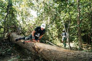 BIB: 
                            <button type="button" onclick="openModal(27488694)" class="btn btn-primary btn-sm float-right btn-popup" data-toggle="modal" data-target=".modal-high-quality">
                        <i class="fas fa-shopping-cart"></i> Add to Cart
                    </button>
                                            <button type="button" onclick="isThisMe(27488694, true)" class="btn btn-success btn-sm float-right btn-popup btn-isme hidden" data-toggle="tooltip" data-placement="bottom" title="นี่คือรูปของคุณใช่ไหม คลิกที่นี่เพื่อเอาเข้าอัลบั้ม">
                        <i class="fas fa-plus"></i> Add to album
                    </button>
                    <button type="button" onclick="isThisMe(27488694, false)" class="btn btn-warning btn-sm float-right btn-popup btn-isnotme hidden">
                        <i class="fas fa-ban"></i> Remove from album
                    </button>