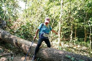 BIB: 
                            <button type="button" onclick="openModal(27490795)" class="btn btn-primary btn-sm float-right btn-popup" data-toggle="modal" data-target=".modal-high-quality">
                        <i class="fas fa-shopping-cart"></i> Add to Cart
                    </button>
                                            <button type="button" onclick="isThisMe(27490795, true)" class="btn btn-success btn-sm float-right btn-popup btn-isme hidden" data-toggle="tooltip" data-placement="bottom" title="นี่คือรูปของคุณใช่ไหม คลิกที่นี่เพื่อเอาเข้าอัลบั้ม">
                        <i class="fas fa-plus"></i> Add to album
                    </button>
                    <button type="button" onclick="isThisMe(27490795, false)" class="btn btn-warning btn-sm float-right btn-popup btn-isnotme hidden">
                        <i class="fas fa-ban"></i> Remove from album
                    </button>