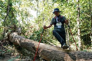 BIB: 
                            <button type="button" onclick="openModal(27490694)" class="btn btn-primary btn-sm float-right btn-popup" data-toggle="modal" data-target=".modal-high-quality">
                        <i class="fas fa-shopping-cart"></i> Add to Cart
                    </button>
                                            <button type="button" onclick="isThisMe(27490694, true)" class="btn btn-success btn-sm float-right btn-popup btn-isme hidden" data-toggle="tooltip" data-placement="bottom" title="นี่คือรูปของคุณใช่ไหม คลิกที่นี่เพื่อเอาเข้าอัลบั้ม">
                        <i class="fas fa-plus"></i> Add to album
                    </button>
                    <button type="button" onclick="isThisMe(27490694, false)" class="btn btn-warning btn-sm float-right btn-popup btn-isnotme hidden">
                        <i class="fas fa-ban"></i> Remove from album
                    </button>