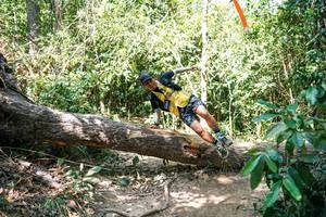 BIB: 
                            <button type="button" onclick="openModal(27490876)" class="btn btn-primary btn-sm float-right btn-popup" data-toggle="modal" data-target=".modal-high-quality">
                        <i class="fas fa-shopping-cart"></i> Add to Cart
                    </button>
                                            <button type="button" onclick="isThisMe(27490876, true)" class="btn btn-success btn-sm float-right btn-popup btn-isme hidden" data-toggle="tooltip" data-placement="bottom" title="นี่คือรูปของคุณใช่ไหม คลิกที่นี่เพื่อเอาเข้าอัลบั้ม">
                        <i class="fas fa-plus"></i> Add to album
                    </button>
                    <button type="button" onclick="isThisMe(27490876, false)" class="btn btn-warning btn-sm float-right btn-popup btn-isnotme hidden">
                        <i class="fas fa-ban"></i> Remove from album
                    </button>