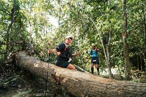 BIB: 
                            <button type="button" onclick="openModal(27488406)" class="btn btn-primary btn-sm float-right btn-popup" data-toggle="modal" data-target=".modal-high-quality">
                        <i class="fas fa-shopping-cart"></i> Add to Cart
                    </button>
                                            <button type="button" onclick="isThisMe(27488406, true)" class="btn btn-success btn-sm float-right btn-popup btn-isme hidden" data-toggle="tooltip" data-placement="bottom" title="นี่คือรูปของคุณใช่ไหม คลิกที่นี่เพื่อเอาเข้าอัลบั้ม">
                        <i class="fas fa-plus"></i> Add to album
                    </button>
                    <button type="button" onclick="isThisMe(27488406, false)" class="btn btn-warning btn-sm float-right btn-popup btn-isnotme hidden">
                        <i class="fas fa-ban"></i> Remove from album
                    </button>