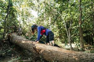 BIB: 
                            <button type="button" onclick="openModal(27488396)" class="btn btn-primary btn-sm float-right btn-popup" data-toggle="modal" data-target=".modal-high-quality">
                        <i class="fas fa-shopping-cart"></i> Add to Cart
                    </button>
                                            <button type="button" onclick="isThisMe(27488396, true)" class="btn btn-success btn-sm float-right btn-popup btn-isme hidden" data-toggle="tooltip" data-placement="bottom" title="นี่คือรูปของคุณใช่ไหม คลิกที่นี่เพื่อเอาเข้าอัลบั้ม">
                        <i class="fas fa-plus"></i> Add to album
                    </button>
                    <button type="button" onclick="isThisMe(27488396, false)" class="btn btn-warning btn-sm float-right btn-popup btn-isnotme hidden">
                        <i class="fas fa-ban"></i> Remove from album
                    </button>