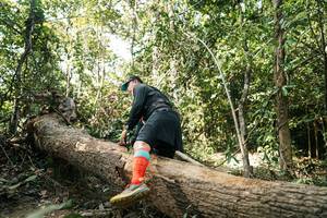 BIB: 
                            <button type="button" onclick="openModal(27488164)" class="btn btn-primary btn-sm float-right btn-popup" data-toggle="modal" data-target=".modal-high-quality">
                        <i class="fas fa-shopping-cart"></i> Add to Cart
                    </button>
                                            <button type="button" onclick="isThisMe(27488164, true)" class="btn btn-success btn-sm float-right btn-popup btn-isme hidden" data-toggle="tooltip" data-placement="bottom" title="นี่คือรูปของคุณใช่ไหม คลิกที่นี่เพื่อเอาเข้าอัลบั้ม">
                        <i class="fas fa-plus"></i> Add to album
                    </button>
                    <button type="button" onclick="isThisMe(27488164, false)" class="btn btn-warning btn-sm float-right btn-popup btn-isnotme hidden">
                        <i class="fas fa-ban"></i> Remove from album
                    </button>