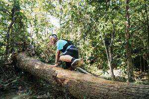 BIB: 
                            <button type="button" onclick="openModal(27488891)" class="btn btn-primary btn-sm float-right btn-popup" data-toggle="modal" data-target=".modal-high-quality">
                        <i class="fas fa-shopping-cart"></i> Add to Cart
                    </button>
                                            <button type="button" onclick="isThisMe(27488891, true)" class="btn btn-success btn-sm float-right btn-popup btn-isme hidden" data-toggle="tooltip" data-placement="bottom" title="นี่คือรูปของคุณใช่ไหม คลิกที่นี่เพื่อเอาเข้าอัลบั้ม">
                        <i class="fas fa-plus"></i> Add to album
                    </button>
                    <button type="button" onclick="isThisMe(27488891, false)" class="btn btn-warning btn-sm float-right btn-popup btn-isnotme hidden">
                        <i class="fas fa-ban"></i> Remove from album
                    </button>