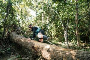 BIB: 
                            <button type="button" onclick="openModal(27486874)" class="btn btn-primary btn-sm float-right btn-popup" data-toggle="modal" data-target=".modal-high-quality">
                        <i class="fas fa-shopping-cart"></i> Add to Cart
                    </button>
                                            <button type="button" onclick="isThisMe(27486874, true)" class="btn btn-success btn-sm float-right btn-popup btn-isme hidden" data-toggle="tooltip" data-placement="bottom" title="นี่คือรูปของคุณใช่ไหม คลิกที่นี่เพื่อเอาเข้าอัลบั้ม">
                        <i class="fas fa-plus"></i> Add to album
                    </button>
                    <button type="button" onclick="isThisMe(27486874, false)" class="btn btn-warning btn-sm float-right btn-popup btn-isnotme hidden">
                        <i class="fas fa-ban"></i> Remove from album
                    </button>