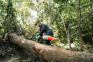 BIB: 
                            <button type="button" onclick="openModal(27488138)" class="btn btn-primary btn-sm float-right btn-popup" data-toggle="modal" data-target=".modal-high-quality">
                        <i class="fas fa-shopping-cart"></i> Add to Cart
                    </button>
                                            <button type="button" onclick="isThisMe(27488138, true)" class="btn btn-success btn-sm float-right btn-popup btn-isme hidden" data-toggle="tooltip" data-placement="bottom" title="นี่คือรูปของคุณใช่ไหม คลิกที่นี่เพื่อเอาเข้าอัลบั้ม">
                        <i class="fas fa-plus"></i> Add to album
                    </button>
                    <button type="button" onclick="isThisMe(27488138, false)" class="btn btn-warning btn-sm float-right btn-popup btn-isnotme hidden">
                        <i class="fas fa-ban"></i> Remove from album
                    </button>