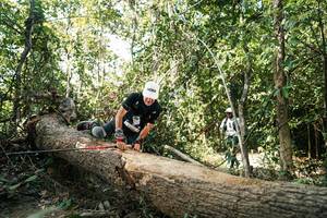 BIB: 
                            <button type="button" onclick="openModal(27488701)" class="btn btn-primary btn-sm float-right btn-popup" data-toggle="modal" data-target=".modal-high-quality">
                        <i class="fas fa-shopping-cart"></i> Add to Cart
                    </button>
                                            <button type="button" onclick="isThisMe(27488701, true)" class="btn btn-success btn-sm float-right btn-popup btn-isme hidden" data-toggle="tooltip" data-placement="bottom" title="นี่คือรูปของคุณใช่ไหม คลิกที่นี่เพื่อเอาเข้าอัลบั้ม">
                        <i class="fas fa-plus"></i> Add to album
                    </button>
                    <button type="button" onclick="isThisMe(27488701, false)" class="btn btn-warning btn-sm float-right btn-popup btn-isnotme hidden">
                        <i class="fas fa-ban"></i> Remove from album
                    </button>