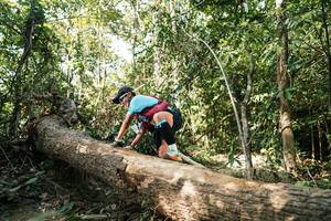 BIB: 
                            <button type="button" onclick="openModal(27487027)" class="btn btn-primary btn-sm float-right btn-popup" data-toggle="modal" data-target=".modal-high-quality">
                        <i class="fas fa-shopping-cart"></i> Add to Cart
                    </button>
                                            <button type="button" onclick="isThisMe(27487027, true)" class="btn btn-success btn-sm float-right btn-popup btn-isme hidden" data-toggle="tooltip" data-placement="bottom" title="นี่คือรูปของคุณใช่ไหม คลิกที่นี่เพื่อเอาเข้าอัลบั้ม">
                        <i class="fas fa-plus"></i> Add to album
                    </button>
                    <button type="button" onclick="isThisMe(27487027, false)" class="btn btn-warning btn-sm float-right btn-popup btn-isnotme hidden">
                        <i class="fas fa-ban"></i> Remove from album
                    </button>