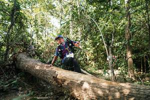 BIB: 
                            <button type="button" onclick="openModal(27487057)" class="btn btn-primary btn-sm float-right btn-popup" data-toggle="modal" data-target=".modal-high-quality">
                        <i class="fas fa-shopping-cart"></i> Add to Cart
                    </button>
                                            <button type="button" onclick="isThisMe(27487057, true)" class="btn btn-success btn-sm float-right btn-popup btn-isme hidden" data-toggle="tooltip" data-placement="bottom" title="นี่คือรูปของคุณใช่ไหม คลิกที่นี่เพื่อเอาเข้าอัลบั้ม">
                        <i class="fas fa-plus"></i> Add to album
                    </button>
                    <button type="button" onclick="isThisMe(27487057, false)" class="btn btn-warning btn-sm float-right btn-popup btn-isnotme hidden">
                        <i class="fas fa-ban"></i> Remove from album
                    </button>