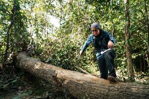 BIB: 
                            <button type="button" onclick="openModal(27489908)" class="btn btn-primary btn-sm float-right btn-popup" data-toggle="modal" data-target=".modal-high-quality">
                        <i class="fas fa-shopping-cart"></i> Add to Cart
                    </button>
                                            <button type="button" onclick="isThisMe(27489908, true)" class="btn btn-success btn-sm float-right btn-popup btn-isme hidden" data-toggle="tooltip" data-placement="bottom" title="นี่คือรูปของคุณใช่ไหม คลิกที่นี่เพื่อเอาเข้าอัลบั้ม">
                        <i class="fas fa-plus"></i> Add to album
                    </button>
                    <button type="button" onclick="isThisMe(27489908, false)" class="btn btn-warning btn-sm float-right btn-popup btn-isnotme hidden">
                        <i class="fas fa-ban"></i> Remove from album
                    </button>