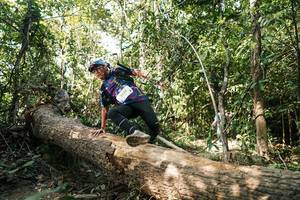 BIB: 
                            <button type="button" onclick="openModal(27487059)" class="btn btn-primary btn-sm float-right btn-popup" data-toggle="modal" data-target=".modal-high-quality">
                        <i class="fas fa-shopping-cart"></i> Add to Cart
                    </button>
                                            <button type="button" onclick="isThisMe(27487059, true)" class="btn btn-success btn-sm float-right btn-popup btn-isme hidden" data-toggle="tooltip" data-placement="bottom" title="นี่คือรูปของคุณใช่ไหม คลิกที่นี่เพื่อเอาเข้าอัลบั้ม">
                        <i class="fas fa-plus"></i> Add to album
                    </button>
                    <button type="button" onclick="isThisMe(27487059, false)" class="btn btn-warning btn-sm float-right btn-popup btn-isnotme hidden">
                        <i class="fas fa-ban"></i> Remove from album
                    </button>