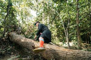 BIB: 
                            <button type="button" onclick="openModal(27488159)" class="btn btn-primary btn-sm float-right btn-popup" data-toggle="modal" data-target=".modal-high-quality">
                        <i class="fas fa-shopping-cart"></i> Add to Cart
                    </button>
                                            <button type="button" onclick="isThisMe(27488159, true)" class="btn btn-success btn-sm float-right btn-popup btn-isme hidden" data-toggle="tooltip" data-placement="bottom" title="นี่คือรูปของคุณใช่ไหม คลิกที่นี่เพื่อเอาเข้าอัลบั้ม">
                        <i class="fas fa-plus"></i> Add to album
                    </button>
                    <button type="button" onclick="isThisMe(27488159, false)" class="btn btn-warning btn-sm float-right btn-popup btn-isnotme hidden">
                        <i class="fas fa-ban"></i> Remove from album
                    </button>