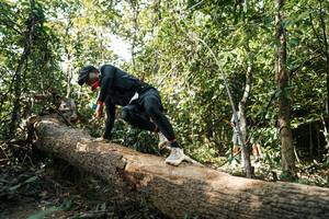 BIB: 
                            <button type="button" onclick="openModal(27490456)" class="btn btn-primary btn-sm float-right btn-popup" data-toggle="modal" data-target=".modal-high-quality">
                        <i class="fas fa-shopping-cart"></i> Add to Cart
                    </button>
                                            <button type="button" onclick="isThisMe(27490456, true)" class="btn btn-success btn-sm float-right btn-popup btn-isme hidden" data-toggle="tooltip" data-placement="bottom" title="นี่คือรูปของคุณใช่ไหม คลิกที่นี่เพื่อเอาเข้าอัลบั้ม">
                        <i class="fas fa-plus"></i> Add to album
                    </button>
                    <button type="button" onclick="isThisMe(27490456, false)" class="btn btn-warning btn-sm float-right btn-popup btn-isnotme hidden">
                        <i class="fas fa-ban"></i> Remove from album
                    </button>