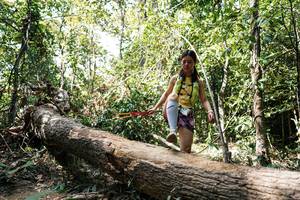 BIB: 
                            <button type="button" onclick="openModal(27490626)" class="btn btn-primary btn-sm float-right btn-popup" data-toggle="modal" data-target=".modal-high-quality">
                        <i class="fas fa-shopping-cart"></i> Add to Cart
                    </button>
                                            <button type="button" onclick="isThisMe(27490626, true)" class="btn btn-success btn-sm float-right btn-popup btn-isme hidden" data-toggle="tooltip" data-placement="bottom" title="นี่คือรูปของคุณใช่ไหม คลิกที่นี่เพื่อเอาเข้าอัลบั้ม">
                        <i class="fas fa-plus"></i> Add to album
                    </button>
                    <button type="button" onclick="isThisMe(27490626, false)" class="btn btn-warning btn-sm float-right btn-popup btn-isnotme hidden">
                        <i class="fas fa-ban"></i> Remove from album
                    </button>