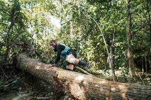 BIB: 
                            <button type="button" onclick="openModal(27486856)" class="btn btn-primary btn-sm float-right btn-popup" data-toggle="modal" data-target=".modal-high-quality">
                        <i class="fas fa-shopping-cart"></i> Add to Cart
                    </button>
                                            <button type="button" onclick="isThisMe(27486856, true)" class="btn btn-success btn-sm float-right btn-popup btn-isme hidden" data-toggle="tooltip" data-placement="bottom" title="นี่คือรูปของคุณใช่ไหม คลิกที่นี่เพื่อเอาเข้าอัลบั้ม">
                        <i class="fas fa-plus"></i> Add to album
                    </button>
                    <button type="button" onclick="isThisMe(27486856, false)" class="btn btn-warning btn-sm float-right btn-popup btn-isnotme hidden">
                        <i class="fas fa-ban"></i> Remove from album
                    </button>