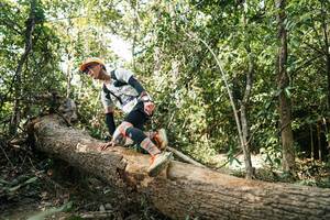 BIB: 
                            <button type="button" onclick="openModal(27488262)" class="btn btn-primary btn-sm float-right btn-popup" data-toggle="modal" data-target=".modal-high-quality">
                        <i class="fas fa-shopping-cart"></i> Add to Cart
                    </button>
                                            <button type="button" onclick="isThisMe(27488262, true)" class="btn btn-success btn-sm float-right btn-popup btn-isme hidden" data-toggle="tooltip" data-placement="bottom" title="นี่คือรูปของคุณใช่ไหม คลิกที่นี่เพื่อเอาเข้าอัลบั้ม">
                        <i class="fas fa-plus"></i> Add to album
                    </button>
                    <button type="button" onclick="isThisMe(27488262, false)" class="btn btn-warning btn-sm float-right btn-popup btn-isnotme hidden">
                        <i class="fas fa-ban"></i> Remove from album
                    </button>