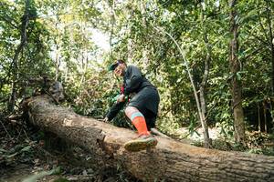 BIB: 
                            <button type="button" onclick="openModal(27488131)" class="btn btn-primary btn-sm float-right btn-popup" data-toggle="modal" data-target=".modal-high-quality">
                        <i class="fas fa-shopping-cart"></i> Add to Cart
                    </button>
                                            <button type="button" onclick="isThisMe(27488131, true)" class="btn btn-success btn-sm float-right btn-popup btn-isme hidden" data-toggle="tooltip" data-placement="bottom" title="นี่คือรูปของคุณใช่ไหม คลิกที่นี่เพื่อเอาเข้าอัลบั้ม">
                        <i class="fas fa-plus"></i> Add to album
                    </button>
                    <button type="button" onclick="isThisMe(27488131, false)" class="btn btn-warning btn-sm float-right btn-popup btn-isnotme hidden">
                        <i class="fas fa-ban"></i> Remove from album
                    </button>