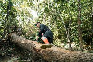 BIB: 
                            <button type="button" onclick="openModal(27488142)" class="btn btn-primary btn-sm float-right btn-popup" data-toggle="modal" data-target=".modal-high-quality">
                        <i class="fas fa-shopping-cart"></i> Add to Cart
                    </button>
                                            <button type="button" onclick="isThisMe(27488142, true)" class="btn btn-success btn-sm float-right btn-popup btn-isme hidden" data-toggle="tooltip" data-placement="bottom" title="นี่คือรูปของคุณใช่ไหม คลิกที่นี่เพื่อเอาเข้าอัลบั้ม">
                        <i class="fas fa-plus"></i> Add to album
                    </button>
                    <button type="button" onclick="isThisMe(27488142, false)" class="btn btn-warning btn-sm float-right btn-popup btn-isnotme hidden">
                        <i class="fas fa-ban"></i> Remove from album
                    </button>