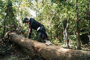 BIB: 
                            <button type="button" onclick="openModal(27490429)" class="btn btn-primary btn-sm float-right btn-popup" data-toggle="modal" data-target=".modal-high-quality">
                        <i class="fas fa-shopping-cart"></i> Add to Cart
                    </button>
                                            <button type="button" onclick="isThisMe(27490429, true)" class="btn btn-success btn-sm float-right btn-popup btn-isme hidden" data-toggle="tooltip" data-placement="bottom" title="นี่คือรูปของคุณใช่ไหม คลิกที่นี่เพื่อเอาเข้าอัลบั้ม">
                        <i class="fas fa-plus"></i> Add to album
                    </button>
                    <button type="button" onclick="isThisMe(27490429, false)" class="btn btn-warning btn-sm float-right btn-popup btn-isnotme hidden">
                        <i class="fas fa-ban"></i> Remove from album
                    </button>