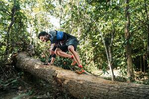 BIB: 
                            <button type="button" onclick="openModal(27488921)" class="btn btn-primary btn-sm float-right btn-popup" data-toggle="modal" data-target=".modal-high-quality">
                        <i class="fas fa-shopping-cart"></i> Add to Cart
                    </button>
                                            <button type="button" onclick="isThisMe(27488921, true)" class="btn btn-success btn-sm float-right btn-popup btn-isme hidden" data-toggle="tooltip" data-placement="bottom" title="นี่คือรูปของคุณใช่ไหม คลิกที่นี่เพื่อเอาเข้าอัลบั้ม">
                        <i class="fas fa-plus"></i> Add to album
                    </button>
                    <button type="button" onclick="isThisMe(27488921, false)" class="btn btn-warning btn-sm float-right btn-popup btn-isnotme hidden">
                        <i class="fas fa-ban"></i> Remove from album
                    </button>