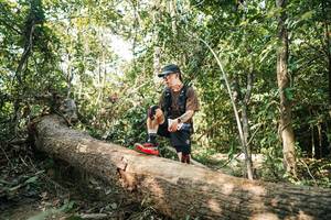 BIB: 
                            <button type="button" onclick="openModal(27486322)" class="btn btn-primary btn-sm float-right btn-popup" data-toggle="modal" data-target=".modal-high-quality">
                        <i class="fas fa-shopping-cart"></i> Add to Cart
                    </button>
                                            <button type="button" onclick="isThisMe(27486322, true)" class="btn btn-success btn-sm float-right btn-popup btn-isme hidden" data-toggle="tooltip" data-placement="bottom" title="นี่คือรูปของคุณใช่ไหม คลิกที่นี่เพื่อเอาเข้าอัลบั้ม">
                        <i class="fas fa-plus"></i> Add to album
                    </button>
                    <button type="button" onclick="isThisMe(27486322, false)" class="btn btn-warning btn-sm float-right btn-popup btn-isnotme hidden">
                        <i class="fas fa-ban"></i> Remove from album
                    </button>