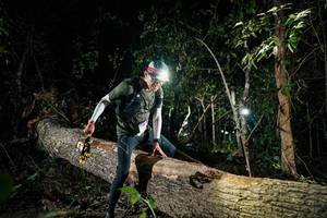 BIB: 
                            <button type="button" onclick="openModal(27435427)" class="btn btn-primary btn-sm float-right btn-popup" data-toggle="modal" data-target=".modal-high-quality">
                        <i class="fas fa-shopping-cart"></i> Add to Cart
                    </button>
                                            <button type="button" onclick="isThisMe(27435427, true)" class="btn btn-success btn-sm float-right btn-popup btn-isme hidden" data-toggle="tooltip" data-placement="bottom" title="นี่คือรูปของคุณใช่ไหม คลิกที่นี่เพื่อเอาเข้าอัลบั้ม">
                        <i class="fas fa-plus"></i> Add to album
                    </button>
                    <button type="button" onclick="isThisMe(27435427, false)" class="btn btn-warning btn-sm float-right btn-popup btn-isnotme hidden">
                        <i class="fas fa-ban"></i> Remove from album
                    </button>