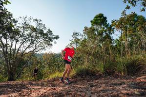 BIB: 
                            <button type="button" onclick="openModal(27164894)" class="btn btn-primary btn-sm float-right btn-popup" data-toggle="modal" data-target=".modal-high-quality">
                        <i class="fas fa-shopping-cart"></i> Add to Cart
                    </button>
                                            <button type="button" onclick="isThisMe(27164894, true)" class="btn btn-success btn-sm float-right btn-popup btn-isme hidden" data-toggle="tooltip" data-placement="bottom" title="นี่คือรูปของคุณใช่ไหม คลิกที่นี่เพื่อเอาเข้าอัลบั้ม">
                        <i class="fas fa-plus"></i> Add to album
                    </button>
                    <button type="button" onclick="isThisMe(27164894, false)" class="btn btn-warning btn-sm float-right btn-popup btn-isnotme hidden">
                        <i class="fas fa-ban"></i> Remove from album
                    </button>