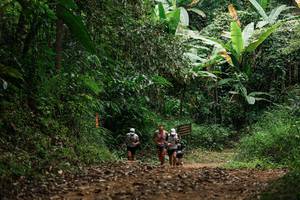 BIB: 
                            <button type="button" onclick="openModal(27238998)" class="btn btn-primary btn-sm float-right btn-popup" data-toggle="modal" data-target=".modal-high-quality">
                        <i class="fas fa-shopping-cart"></i> Add to Cart
                    </button>
                                            <button type="button" onclick="isThisMe(27238998, true)" class="btn btn-success btn-sm float-right btn-popup btn-isme hidden" data-toggle="tooltip" data-placement="bottom" title="นี่คือรูปของคุณใช่ไหม คลิกที่นี่เพื่อเอาเข้าอัลบั้ม">
                        <i class="fas fa-plus"></i> Add to album
                    </button>
                    <button type="button" onclick="isThisMe(27238998, false)" class="btn btn-warning btn-sm float-right btn-popup btn-isnotme hidden">
                        <i class="fas fa-ban"></i> Remove from album
                    </button>