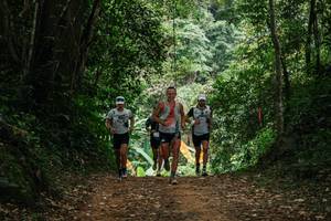 BIB: 
                            <button type="button" onclick="openModal(27238990)" class="btn btn-primary btn-sm float-right btn-popup" data-toggle="modal" data-target=".modal-high-quality">
                        <i class="fas fa-shopping-cart"></i> Add to Cart
                    </button>
                                            <button type="button" onclick="isThisMe(27238990, true)" class="btn btn-success btn-sm float-right btn-popup btn-isme hidden" data-toggle="tooltip" data-placement="bottom" title="นี่คือรูปของคุณใช่ไหม คลิกที่นี่เพื่อเอาเข้าอัลบั้ม">
                        <i class="fas fa-plus"></i> Add to album
                    </button>
                    <button type="button" onclick="isThisMe(27238990, false)" class="btn btn-warning btn-sm float-right btn-popup btn-isnotme hidden">
                        <i class="fas fa-ban"></i> Remove from album
                    </button>