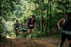 BIB: 
                            <button type="button" onclick="openModal(27249270)" class="btn btn-primary btn-sm float-right btn-popup" data-toggle="modal" data-target=".modal-high-quality">
                        <i class="fas fa-shopping-cart"></i> Add to Cart
                    </button>
                                            <button type="button" onclick="isThisMe(27249270, true)" class="btn btn-success btn-sm float-right btn-popup btn-isme hidden" data-toggle="tooltip" data-placement="bottom" title="นี่คือรูปของคุณใช่ไหม คลิกที่นี่เพื่อเอาเข้าอัลบั้ม">
                        <i class="fas fa-plus"></i> Add to album
                    </button>
                    <button type="button" onclick="isThisMe(27249270, false)" class="btn btn-warning btn-sm float-right btn-popup btn-isnotme hidden">
                        <i class="fas fa-ban"></i> Remove from album
                    </button>