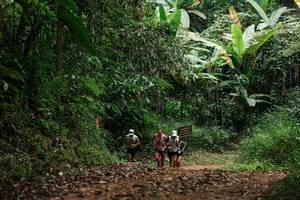 BIB: 
                            <button type="button" onclick="openModal(27239027)" class="btn btn-primary btn-sm float-right btn-popup" data-toggle="modal" data-target=".modal-high-quality">
                        <i class="fas fa-shopping-cart"></i> Add to Cart
                    </button>
                                            <button type="button" onclick="isThisMe(27239027, true)" class="btn btn-success btn-sm float-right btn-popup btn-isme hidden" data-toggle="tooltip" data-placement="bottom" title="นี่คือรูปของคุณใช่ไหม คลิกที่นี่เพื่อเอาเข้าอัลบั้ม">
                        <i class="fas fa-plus"></i> Add to album
                    </button>
                    <button type="button" onclick="isThisMe(27239027, false)" class="btn btn-warning btn-sm float-right btn-popup btn-isnotme hidden">
                        <i class="fas fa-ban"></i> Remove from album
                    </button>