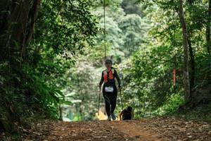 BIB: 
                            <button type="button" onclick="openModal(27239285)" class="btn btn-primary btn-sm float-right btn-popup" data-toggle="modal" data-target=".modal-high-quality">
                        <i class="fas fa-shopping-cart"></i> Add to Cart
                    </button>
                                            <button type="button" onclick="isThisMe(27239285, true)" class="btn btn-success btn-sm float-right btn-popup btn-isme hidden" data-toggle="tooltip" data-placement="bottom" title="นี่คือรูปของคุณใช่ไหม คลิกที่นี่เพื่อเอาเข้าอัลบั้ม">
                        <i class="fas fa-plus"></i> Add to album
                    </button>
                    <button type="button" onclick="isThisMe(27239285, false)" class="btn btn-warning btn-sm float-right btn-popup btn-isnotme hidden">
                        <i class="fas fa-ban"></i> Remove from album
                    </button>