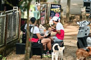 BIB: 
                            <button type="button" onclick="openModal(26862174)" class="btn btn-primary btn-sm float-right btn-popup" data-toggle="modal" data-target=".modal-high-quality">
                        <i class="fas fa-shopping-cart"></i> Add to Cart
                    </button>
                                            <button type="button" onclick="isThisMe(26862174, true)" class="btn btn-success btn-sm float-right btn-popup btn-isme hidden" data-toggle="tooltip" data-placement="bottom" title="นี่คือรูปของคุณใช่ไหม คลิกที่นี่เพื่อเอาเข้าอัลบั้ม">
                        <i class="fas fa-plus"></i> Add to album
                    </button>
                    <button type="button" onclick="isThisMe(26862174, false)" class="btn btn-warning btn-sm float-right btn-popup btn-isnotme hidden">
                        <i class="fas fa-ban"></i> Remove from album
                    </button>