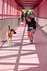 BIB: 
                            <button type="button" onclick="openModal(27787786)" class="btn btn-primary btn-sm float-right btn-popup" data-toggle="modal" data-target=".modal-high-quality">
                        <i class="fas fa-shopping-cart"></i> Add to Cart
                    </button>
                                            <button type="button" onclick="isThisMe(27787786, true)" class="btn btn-success btn-sm float-right btn-popup btn-isme hidden" data-toggle="tooltip" data-placement="bottom" title="นี่คือรูปของคุณใช่ไหม คลิกที่นี่เพื่อเอาเข้าอัลบั้ม">
                        <i class="fas fa-plus"></i> Add to album
                    </button>
                    <button type="button" onclick="isThisMe(27787786, false)" class="btn btn-warning btn-sm float-right btn-popup btn-isnotme hidden">
                        <i class="fas fa-ban"></i> Remove from album
                    </button>