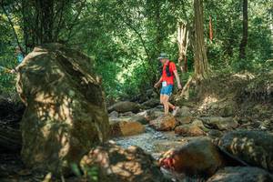 BIB: 
                            <button type="button" onclick="openModal(27494295)" class="btn btn-primary btn-sm float-right btn-popup" data-toggle="modal" data-target=".modal-high-quality">
                        <i class="fas fa-shopping-cart"></i> Add to Cart
                    </button>
                                            <button type="button" onclick="isThisMe(27494295, true)" class="btn btn-success btn-sm float-right btn-popup btn-isme hidden" data-toggle="tooltip" data-placement="bottom" title="นี่คือรูปของคุณใช่ไหม คลิกที่นี่เพื่อเอาเข้าอัลบั้ม">
                        <i class="fas fa-plus"></i> Add to album
                    </button>
                    <button type="button" onclick="isThisMe(27494295, false)" class="btn btn-warning btn-sm float-right btn-popup btn-isnotme hidden">
                        <i class="fas fa-ban"></i> Remove from album
                    </button>