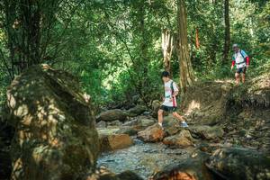 BIB: 
                            <button type="button" onclick="openModal(27493760)" class="btn btn-primary btn-sm float-right btn-popup" data-toggle="modal" data-target=".modal-high-quality">
                        <i class="fas fa-shopping-cart"></i> Add to Cart
                    </button>
                                            <button type="button" onclick="isThisMe(27493760, true)" class="btn btn-success btn-sm float-right btn-popup btn-isme hidden" data-toggle="tooltip" data-placement="bottom" title="นี่คือรูปของคุณใช่ไหม คลิกที่นี่เพื่อเอาเข้าอัลบั้ม">
                        <i class="fas fa-plus"></i> Add to album
                    </button>
                    <button type="button" onclick="isThisMe(27493760, false)" class="btn btn-warning btn-sm float-right btn-popup btn-isnotme hidden">
                        <i class="fas fa-ban"></i> Remove from album
                    </button>