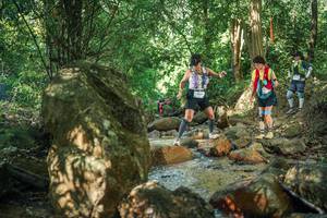 BIB: 
                            <button type="button" onclick="openModal(27494776)" class="btn btn-primary btn-sm float-right btn-popup" data-toggle="modal" data-target=".modal-high-quality">
                        <i class="fas fa-shopping-cart"></i> Add to Cart
                    </button>
                                            <button type="button" onclick="isThisMe(27494776, true)" class="btn btn-success btn-sm float-right btn-popup btn-isme hidden" data-toggle="tooltip" data-placement="bottom" title="นี่คือรูปของคุณใช่ไหม คลิกที่นี่เพื่อเอาเข้าอัลบั้ม">
                        <i class="fas fa-plus"></i> Add to album
                    </button>
                    <button type="button" onclick="isThisMe(27494776, false)" class="btn btn-warning btn-sm float-right btn-popup btn-isnotme hidden">
                        <i class="fas fa-ban"></i> Remove from album
                    </button>