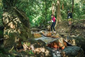 BIB: 
                            <button type="button" onclick="openModal(27494688)" class="btn btn-primary btn-sm float-right btn-popup" data-toggle="modal" data-target=".modal-high-quality">
                        <i class="fas fa-shopping-cart"></i> Add to Cart
                    </button>
                                            <button type="button" onclick="isThisMe(27494688, true)" class="btn btn-success btn-sm float-right btn-popup btn-isme hidden" data-toggle="tooltip" data-placement="bottom" title="นี่คือรูปของคุณใช่ไหม คลิกที่นี่เพื่อเอาเข้าอัลบั้ม">
                        <i class="fas fa-plus"></i> Add to album
                    </button>
                    <button type="button" onclick="isThisMe(27494688, false)" class="btn btn-warning btn-sm float-right btn-popup btn-isnotme hidden">
                        <i class="fas fa-ban"></i> Remove from album
                    </button>