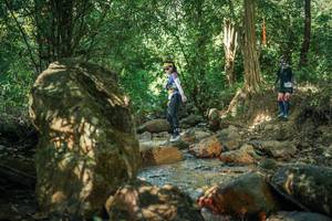 BIB: 
                            <button type="button" onclick="openModal(27494178)" class="btn btn-primary btn-sm float-right btn-popup" data-toggle="modal" data-target=".modal-high-quality">
                        <i class="fas fa-shopping-cart"></i> Add to Cart
                    </button>
                                            <button type="button" onclick="isThisMe(27494178, true)" class="btn btn-success btn-sm float-right btn-popup btn-isme hidden" data-toggle="tooltip" data-placement="bottom" title="นี่คือรูปของคุณใช่ไหม คลิกที่นี่เพื่อเอาเข้าอัลบั้ม">
                        <i class="fas fa-plus"></i> Add to album
                    </button>
                    <button type="button" onclick="isThisMe(27494178, false)" class="btn btn-warning btn-sm float-right btn-popup btn-isnotme hidden">
                        <i class="fas fa-ban"></i> Remove from album
                    </button>