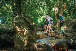 BIB: 
                            <button type="button" onclick="openModal(27493979)" class="btn btn-primary btn-sm float-right btn-popup" data-toggle="modal" data-target=".modal-high-quality">
                        <i class="fas fa-shopping-cart"></i> Add to Cart
                    </button>
                                            <button type="button" onclick="isThisMe(27493979, true)" class="btn btn-success btn-sm float-right btn-popup btn-isme hidden" data-toggle="tooltip" data-placement="bottom" title="นี่คือรูปของคุณใช่ไหม คลิกที่นี่เพื่อเอาเข้าอัลบั้ม">
                        <i class="fas fa-plus"></i> Add to album
                    </button>
                    <button type="button" onclick="isThisMe(27493979, false)" class="btn btn-warning btn-sm float-right btn-popup btn-isnotme hidden">
                        <i class="fas fa-ban"></i> Remove from album
                    </button>