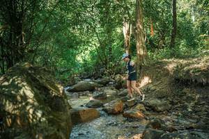 BIB: 
                            <button type="button" onclick="openModal(27493267)" class="btn btn-primary btn-sm float-right btn-popup" data-toggle="modal" data-target=".modal-high-quality">
                        <i class="fas fa-shopping-cart"></i> Add to Cart
                    </button>
                                            <button type="button" onclick="isThisMe(27493267, true)" class="btn btn-success btn-sm float-right btn-popup btn-isme hidden" data-toggle="tooltip" data-placement="bottom" title="นี่คือรูปของคุณใช่ไหม คลิกที่นี่เพื่อเอาเข้าอัลบั้ม">
                        <i class="fas fa-plus"></i> Add to album
                    </button>
                    <button type="button" onclick="isThisMe(27493267, false)" class="btn btn-warning btn-sm float-right btn-popup btn-isnotme hidden">
                        <i class="fas fa-ban"></i> Remove from album
                    </button>