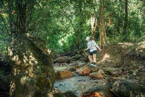 BIB: 
                            <button type="button" onclick="openModal(27493709)" class="btn btn-primary btn-sm float-right btn-popup" data-toggle="modal" data-target=".modal-high-quality">
                        <i class="fas fa-shopping-cart"></i> Add to Cart
                    </button>
                                            <button type="button" onclick="isThisMe(27493709, true)" class="btn btn-success btn-sm float-right btn-popup btn-isme hidden" data-toggle="tooltip" data-placement="bottom" title="นี่คือรูปของคุณใช่ไหม คลิกที่นี่เพื่อเอาเข้าอัลบั้ม">
                        <i class="fas fa-plus"></i> Add to album
                    </button>
                    <button type="button" onclick="isThisMe(27493709, false)" class="btn btn-warning btn-sm float-right btn-popup btn-isnotme hidden">
                        <i class="fas fa-ban"></i> Remove from album
                    </button>