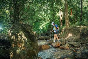 BIB: 
                            <button type="button" onclick="openModal(27493614)" class="btn btn-primary btn-sm float-right btn-popup" data-toggle="modal" data-target=".modal-high-quality">
                        <i class="fas fa-shopping-cart"></i> Add to Cart
                    </button>
                                            <button type="button" onclick="isThisMe(27493614, true)" class="btn btn-success btn-sm float-right btn-popup btn-isme hidden" data-toggle="tooltip" data-placement="bottom" title="นี่คือรูปของคุณใช่ไหม คลิกที่นี่เพื่อเอาเข้าอัลบั้ม">
                        <i class="fas fa-plus"></i> Add to album
                    </button>
                    <button type="button" onclick="isThisMe(27493614, false)" class="btn btn-warning btn-sm float-right btn-popup btn-isnotme hidden">
                        <i class="fas fa-ban"></i> Remove from album
                    </button>