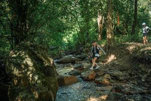 BIB: 
                            <button type="button" onclick="openModal(27493141)" class="btn btn-primary btn-sm float-right btn-popup" data-toggle="modal" data-target=".modal-high-quality">
                        <i class="fas fa-shopping-cart"></i> Add to Cart
                    </button>
                                            <button type="button" onclick="isThisMe(27493141, true)" class="btn btn-success btn-sm float-right btn-popup btn-isme hidden" data-toggle="tooltip" data-placement="bottom" title="นี่คือรูปของคุณใช่ไหม คลิกที่นี่เพื่อเอาเข้าอัลบั้ม">
                        <i class="fas fa-plus"></i> Add to album
                    </button>
                    <button type="button" onclick="isThisMe(27493141, false)" class="btn btn-warning btn-sm float-right btn-popup btn-isnotme hidden">
                        <i class="fas fa-ban"></i> Remove from album
                    </button>