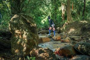 BIB: 
                            <button type="button" onclick="openModal(27494200)" class="btn btn-primary btn-sm float-right btn-popup" data-toggle="modal" data-target=".modal-high-quality">
                        <i class="fas fa-shopping-cart"></i> Add to Cart
                    </button>
                                            <button type="button" onclick="isThisMe(27494200, true)" class="btn btn-success btn-sm float-right btn-popup btn-isme hidden" data-toggle="tooltip" data-placement="bottom" title="นี่คือรูปของคุณใช่ไหม คลิกที่นี่เพื่อเอาเข้าอัลบั้ม">
                        <i class="fas fa-plus"></i> Add to album
                    </button>
                    <button type="button" onclick="isThisMe(27494200, false)" class="btn btn-warning btn-sm float-right btn-popup btn-isnotme hidden">
                        <i class="fas fa-ban"></i> Remove from album
                    </button>