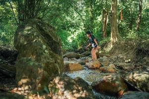 BIB: 
                            <button type="button" onclick="openModal(27495221)" class="btn btn-primary btn-sm float-right btn-popup" data-toggle="modal" data-target=".modal-high-quality">
                        <i class="fas fa-shopping-cart"></i> Add to Cart
                    </button>
                                            <button type="button" onclick="isThisMe(27495221, true)" class="btn btn-success btn-sm float-right btn-popup btn-isme hidden" data-toggle="tooltip" data-placement="bottom" title="นี่คือรูปของคุณใช่ไหม คลิกที่นี่เพื่อเอาเข้าอัลบั้ม">
                        <i class="fas fa-plus"></i> Add to album
                    </button>
                    <button type="button" onclick="isThisMe(27495221, false)" class="btn btn-warning btn-sm float-right btn-popup btn-isnotme hidden">
                        <i class="fas fa-ban"></i> Remove from album
                    </button>